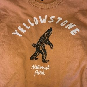Yellowstone national park pacsun sweatshirt